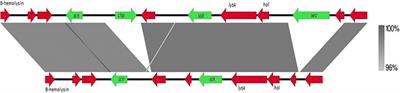 Genomic Analysis of Staphylococcus aureus of the Lineage CC130, Including mecC-Carrying MRSA and MSSA Isolates Recovered of Animal, Human, and Environmental Origins